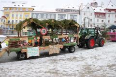 Faschingsumzug 2026 in Mariazell, Foto: Christian Sprosec