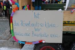 Faschingsumzug 2026 in Mariazell, Foto: Christian Sprosec