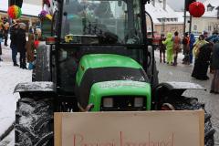 Faschingsumzug 2026 in Mariazell, Foto: Christian Sprosec