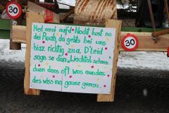 Faschingsumzug 2026 in Mariazell, Foto: Christian Sprosec