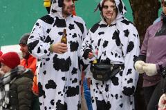 Faschingsumzug 2026 in Mariazell, Foto: Christian Sprosec