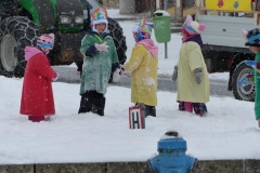 Faschingsumzug Mariazell