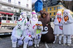 Mariazeller Faschingsumzug 2025 - Foto: Mariazell Online