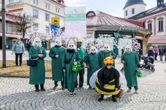 Mariazeller Faschingsumzug 2025 - Foto: Mariazell Online