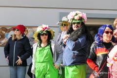 Mariazeller Faschingsumzug 2025 - Foto: Mariazell Online