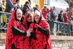 Mariazeller Faschingsumzug 2025 - Foto: Mariazell Online