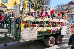 Mariazeller Faschingsumzug 2025 - Foto: Mariazell Online