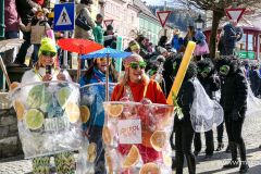 Mariazeller Faschingsumzug 2025 - Foto: Mariazell Online