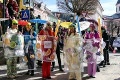 Mariazeller Faschingsumzug 2025 - Foto: Mariazell Online