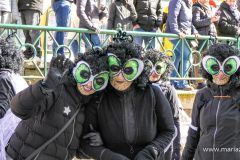 Mariazeller Faschingsumzug 2025 - Foto: Mariazell Online