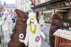 Mariazeller Faschingsumzug 2025 - Foto: Mariazell Online