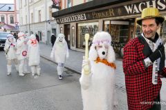 Mariazeller Faschingsumzug 2025 - Foto: Mariazell Online