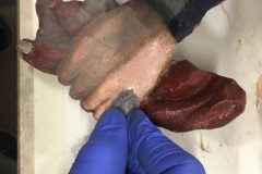 Renovierung - Foto: Dipl. Rest. Peter Ledolter