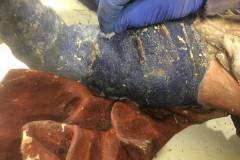 Renovierung - Foto: Dipl. Rest. Peter Ledolter