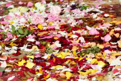 Fronleichnam 2019, Foto: Anna Scherfler