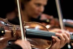 Kardinal König Gedenkwallfahrt, Foto: Anna Scherfler