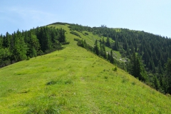 Gemeindealpe - von Brach Richtung Gipfel