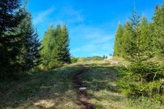 Wanderung von Mitterbach auf die Gemeindealpe - Foto: Mariazell Online
