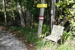 Wanderung von Mitterbach auf die Gemeindealpe - Foto: Mariazell Online