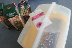 Foto: Mariazell Online