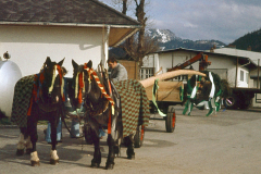 Die Geschichte des Mariazeller Maibaums, Foto: Mariazell Online