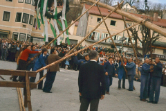 Die Geschichte des Mariazeller Maibaums, Foto: Mariazell Online