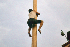 Die Geschichte des Mariazeller Maibaums, Foto: Mariazell Online