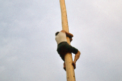 Die Geschichte des Mariazeller Maibaums, Foto: Mariazell Online