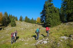 Gipfelkreuz Fallenstein, Foto: Alpenverein Mariazellerland