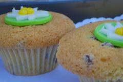 Saisonabschluss Falbersbachalm, Foto: Alpenverein Mariazellerland