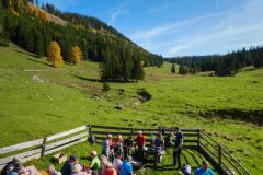 Saisonabschluss Falbersbachalm, Foto: Alpenverein Mariazellerland