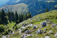 Neues Gipfelkreuz am Fallenstein, Foto: Alpenverein Mariazellerland