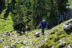 Neues Gipfelkreuz am Fallenstein, Foto: Alpenverein Mariazellerland