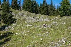 Neues Gipfelkreuz am Fallenstein, Foto: Alpenverein Mariazellerland