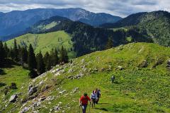 Bergmesse und Gipfelkreuzeinweihung am Fallenstein, Foto: Alpenverein Mariazellerland