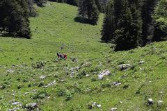 Bergmesse und Gipfelkreuzeinweihung am Fallenstein, Foto: Alpenverein Mariazellerland
