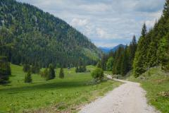 Bergmesse und Gipfelkreuzeinweihung am Fallenstein, Foto: Alpenverein Mariazellerland
