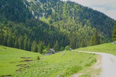 Bergmesse und Gipfelkreuzeinweihung am Fallenstein, Foto: Alpenverein Mariazellerland