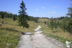 Wanderung Graualm