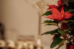 Gründungstag Mariazell - Foto: Anna Scherfler