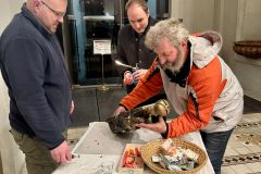 867. Gründungstag Mariazell - Foto: Franz Peter Stadler