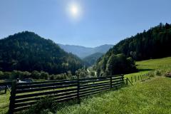 Hals - Foto: Ing. Franz-Peter Stadler