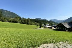 Hals - Foto: Ing. Franz-Peter Stadler