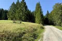 Hals - Foto: Ing. Franz-Peter Stadler