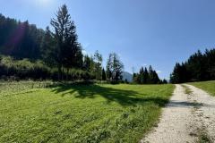 Hals - Foto: Ing. Franz-Peter Stadler