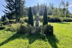 Hals - Foto: Ing. Franz-Peter Stadler