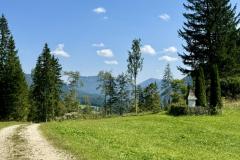 Hals - Foto: Ing. Franz-Peter Stadler