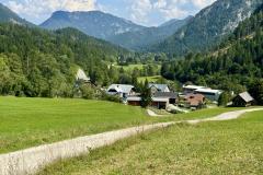 Hals - Foto: Ing. Franz-Peter Stadler