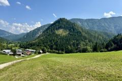 Hals - Foto: Ing. Franz-Peter Stadler