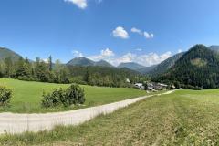 Hals - Foto: Ing. Franz-Peter Stadler